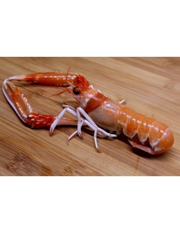 Comprar cigala tronco gallega